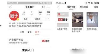 头条如何看粉丝互动榜,洞察热门话题与粉丝心声